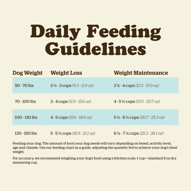 Now Fresh Grain Free Adult Large Breed Dry Dog Food - Product Image 5