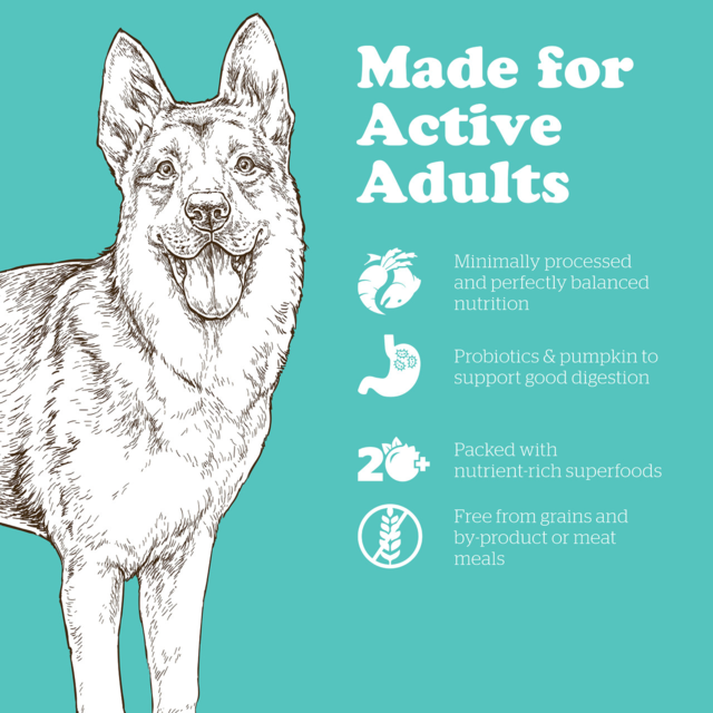 Now Fresh Grain Free Adult Large Breed Dry Dog Food - Product Image 4