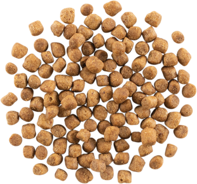 Now Fresh Grain Free Puppy Small Breed Dry Dog Food - Product Image 2