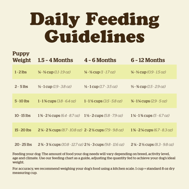 Now Fresh Grain Free Puppy Small Breed Dry Dog Food - Product Image 8