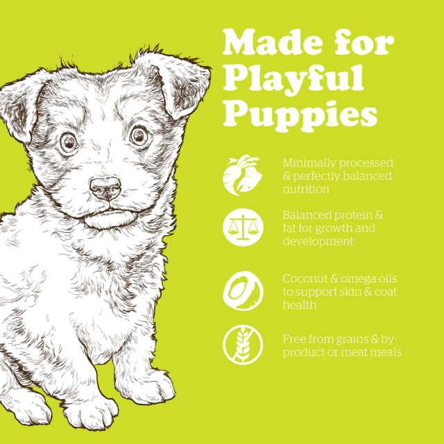 Now Fresh Grain Free Puppy Small Breed Dry Dog Food - Product Image 4