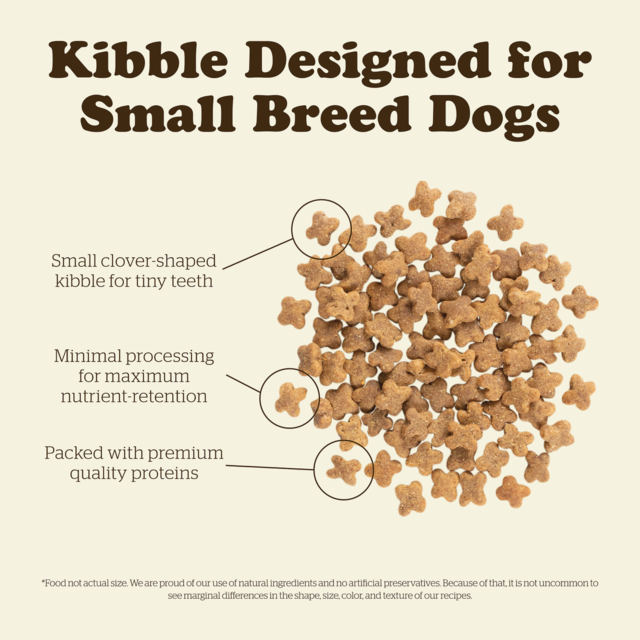 Now Fresh Grain Free Adult Small Breed Dry Dog Food - Product Image 5