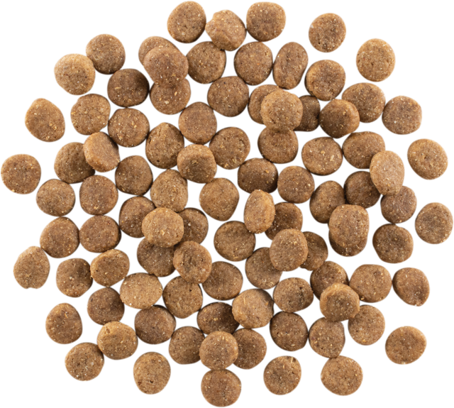 GO! Solutions Skin + Coat Care Chicken Dry Dog Food - Product Image 2