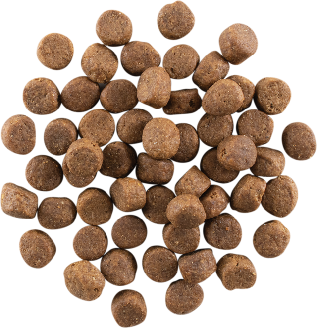 GO! Solutions Carnivore Grain Free Chicken Turkey & Duck Dry Dog Food - Product Image 2