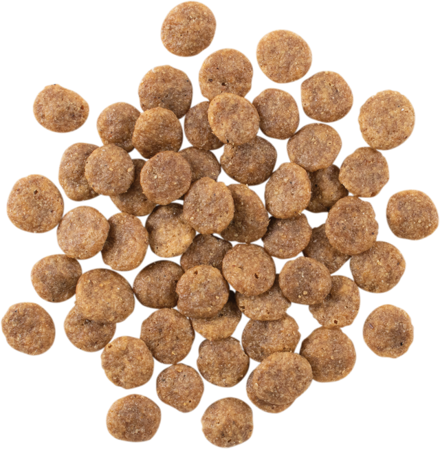 GO! Solutions Sensitivities Grain Free Limited Ingredient Venison Dry Dog Food - Product Image 2