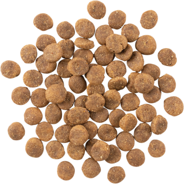 GO! Solutions Sensitivities Grain Free Limited Ingredient Duck Dry Dog Food - Product Image 2