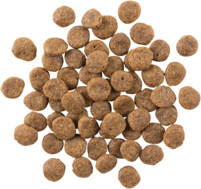 GO! Solutions Sensitivities Grain Free Limited Ingredient Salmon Dry Dog Food - Product Image 2