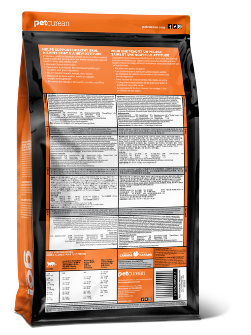 GO! Solutions Skin + Coat Care Salmon Dry Cat Food - Product Image 1