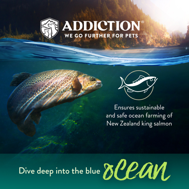 Addiction Grain-Free Salmon Bleu Dry Puppy Food - Product Image 2