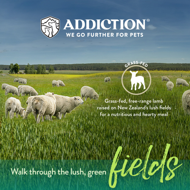 Addiction Grain-Free Herbed Lamb & Potatoes Air Dried Dog Food - Product Image 3