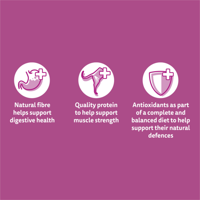 Whiskas Mixed Favourites in Jelly Senior Wet Cat Food - Product Image 2