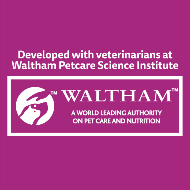 Whiskas Mixed Favourites in Jelly Senior Wet Cat Food - Product Image 3