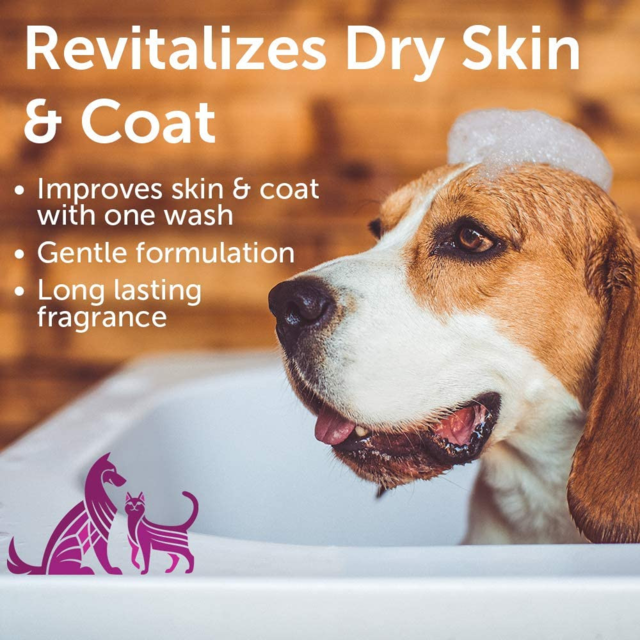 Nootie Rejuvenating Rosemary Extract Pet Shampoo - Product Image 4