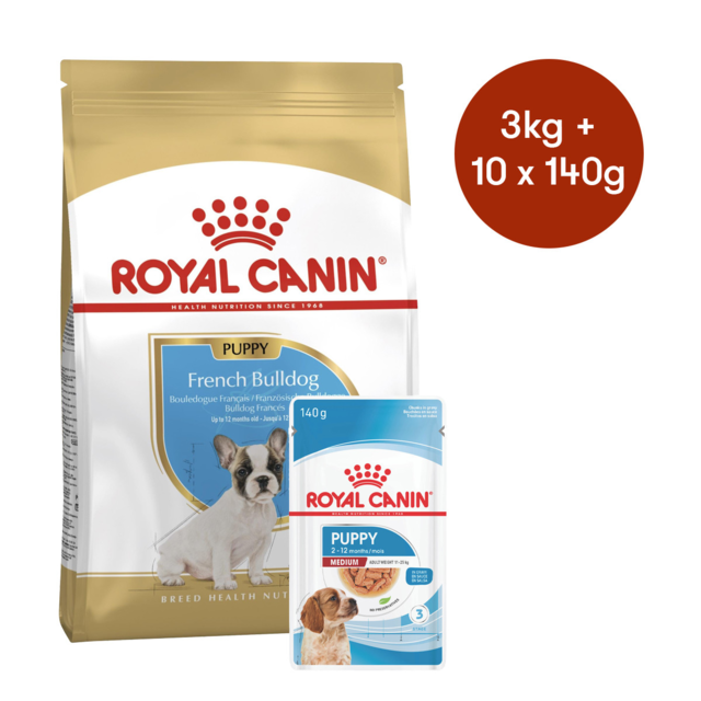 Royal Canin French Best Food To Feed My French Bulldog Royal