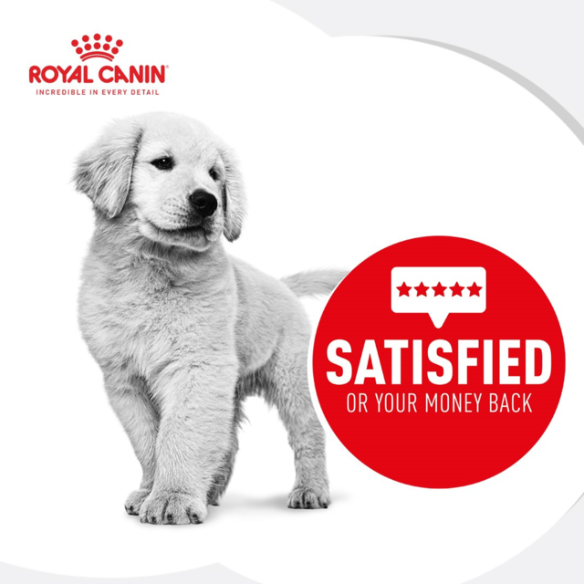 Royal Canin Golden Retriever Puppy Dry + Wet Dog Food Bundle - Product Image 1