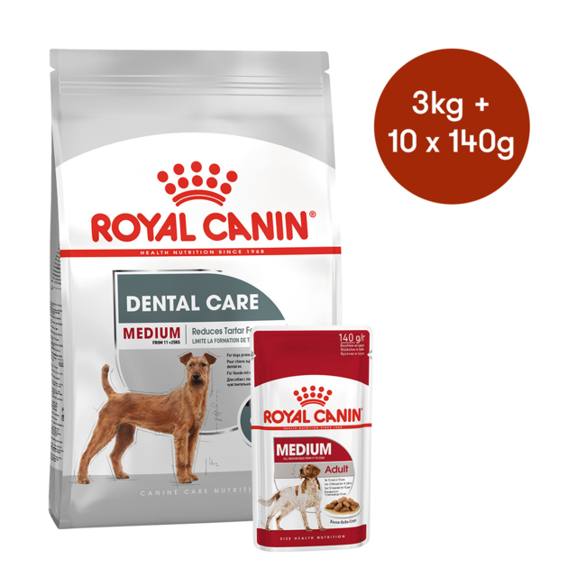 Royal Canin Medium Dental Care Dry + Wet Dog Food Bundle - Product Image