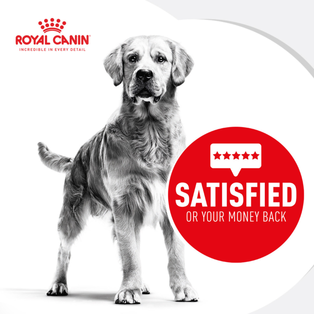 Royal Canin Medium Dermacomfort Dry + Wet Dog Food Bundle - Product Image 2