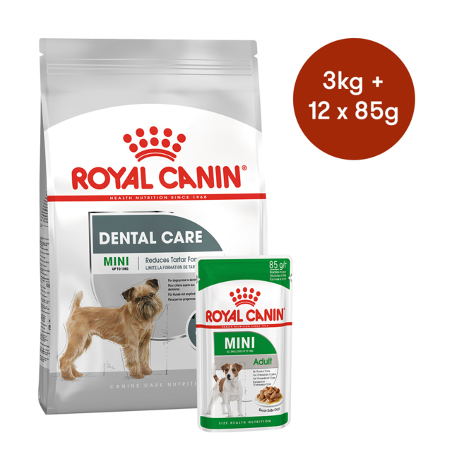 Royal Canin Mini Dental Care Dry Wet Dog Food Bundle Petdirect