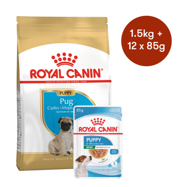 Royal Canin Pug Puppy Dry + Wet Dog Food Bundle - Product Image