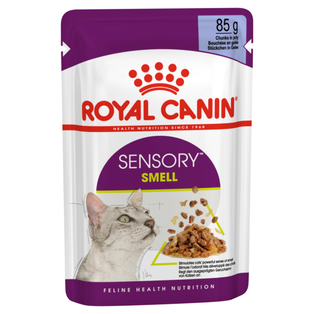 Royal Canin Sensory Smell in Jelly Wet Cat Food - Product Image