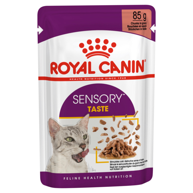 Royal Canin Sensory Taste in Gravy Wet Cat Food - Product Image