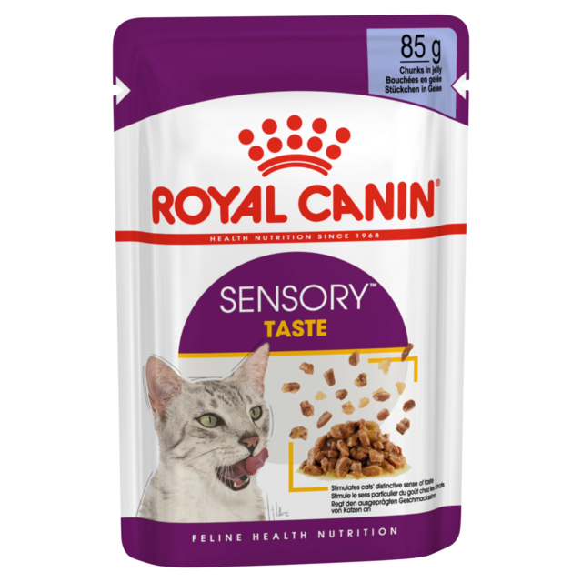 Royal Canin Sensory Taste in Jelly Wet Cat Food - Product Image
