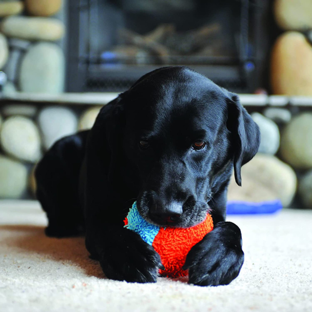 Chuckit! Indoor Ball Dog Toy - Product Image 3