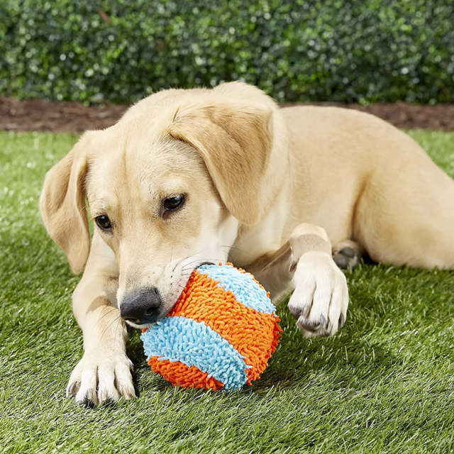 Chuckit! Indoor Ball Dog Toy - Product Image 4