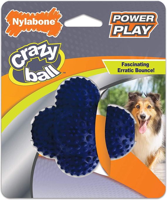 Nylabone Power Play Crazy Ball Dog Toy - Product Image
