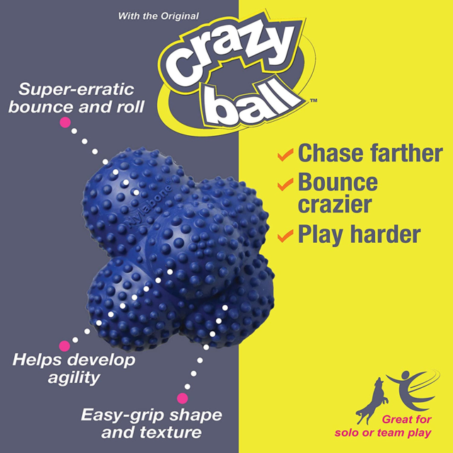 Nylabone Power Play Crazy Ball Dog Toy - Product Image 2