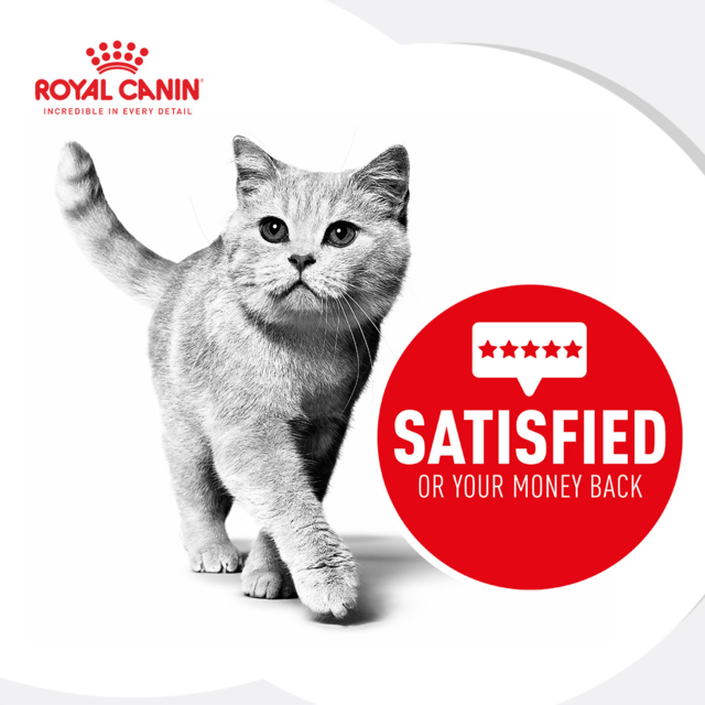 Royal Canin Vet Satiety Weight Management Dry + Wet Cat Food Bundle - Product Image 1