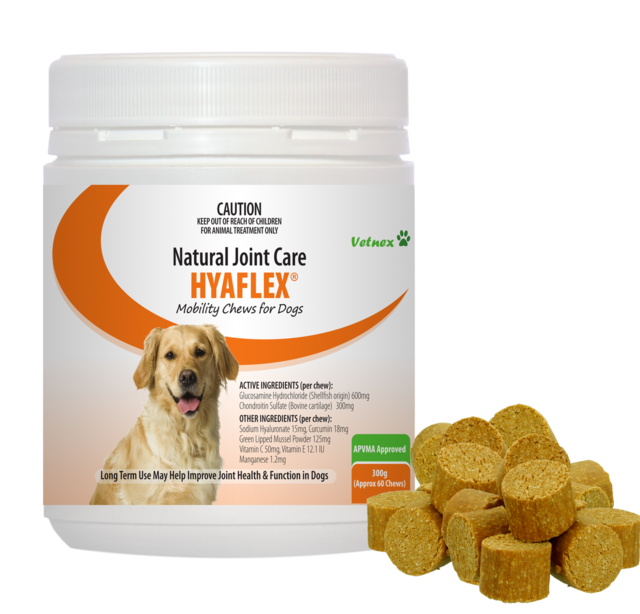 Vetnex Hyaflex Mobility Chews for Dogs - Product Image