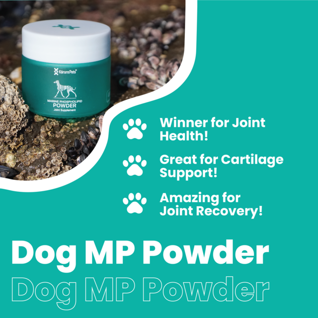 Korure Pets Marine Phospholipid Green Lipped Mussel Powder for Dogs - Product Image 4