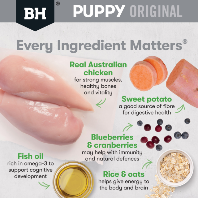 Black Hawk Original Small Breed Puppy Chicken & Rice Dry Dog Food - Product Image 2