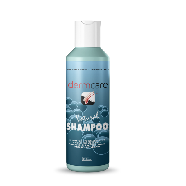 Dermcare Natural Cat and Dog Shampoo - Product Image