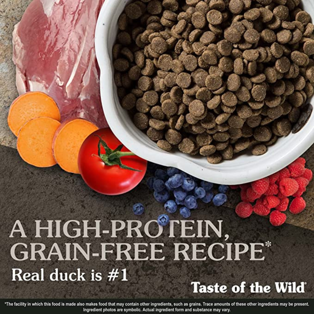 Taste of the Wild Wetlands Wild Fowl Grain Free Adult Dry Dog Food - Product Image 1