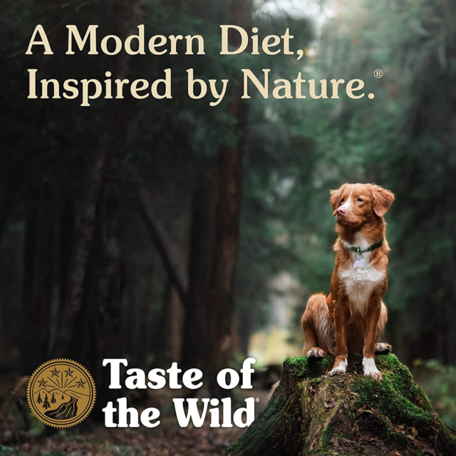 Taste of the Wild Pine Forest Grain Free Dry Dog Food - Product Image 2