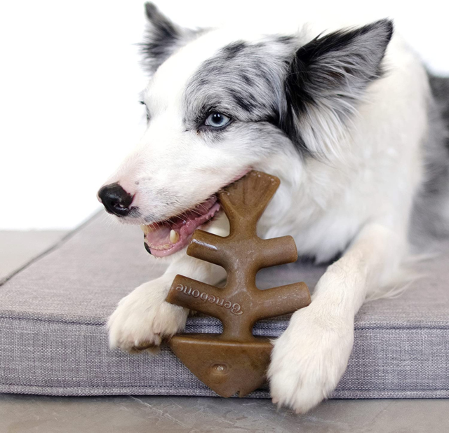 Benebone Fishbone Chew Toy - Product Image 7