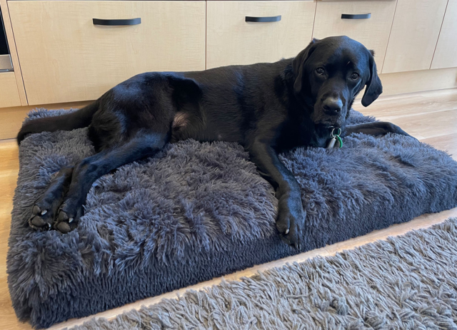 Brooklands Dog Calming Mattress - Product Image 2