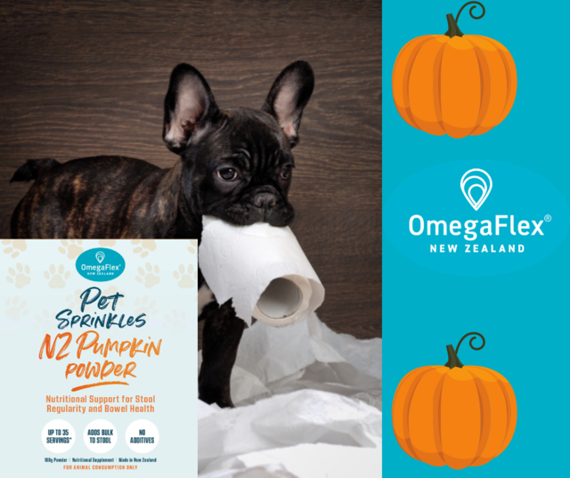 OmegaFlex Cat & Dog Pumpkin Powder - Product Image 2