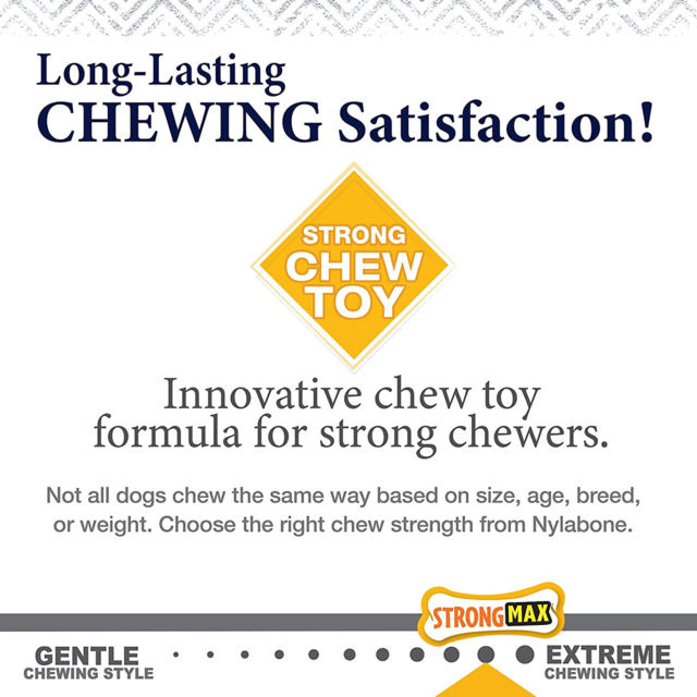 Nylabone Gourmet Style Strong Wishbone Chicken Dog Chew Toy - Product Image 3