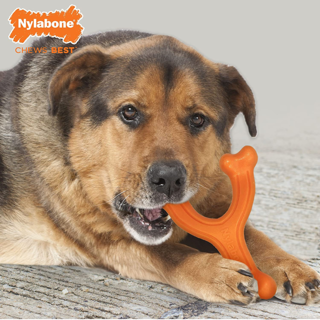 Nylabone Silver Collection Senior Wishbone Power Chew Toy - Product Image 4