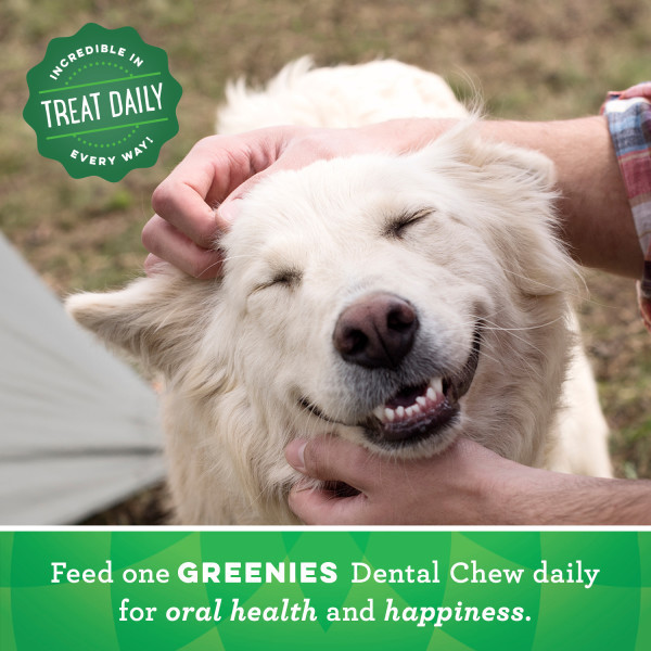 Greenies Original Dental Bulk Dog Treats - Product Image 6