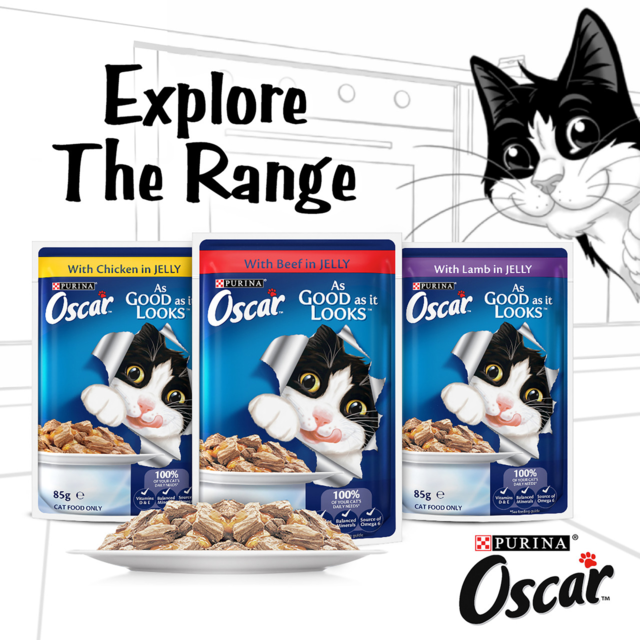 Oscar Lamb in Jelly Adult Wet Cat Food - Product Image 3