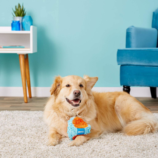 Chuckit! Indoor Tumbler Dog Toy Petdirect
