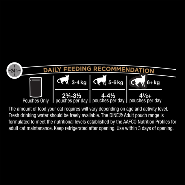 Dine Classic Collection in Gravy Succulent Selection Adult Wet Cat Food Pack - Product Image 5