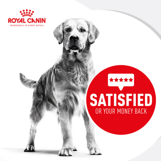 Royal Canin Vet Hypoallergenic Dry Dog Food - Product Image 4