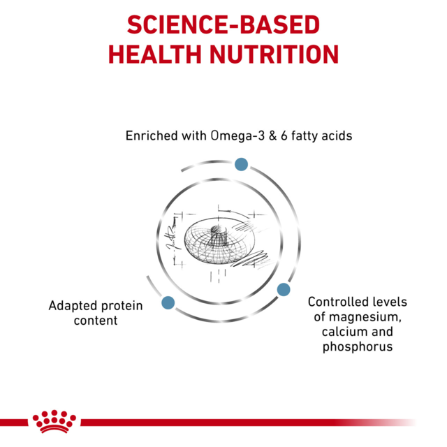 Royal Canin Vet Skin & Coat Dry Cat Food - Product Image 1