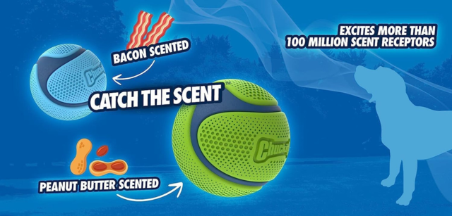 Chuckit! Sniff Fetch Ball Bacon & Peanut Butter Dog Toy - Product Image 2