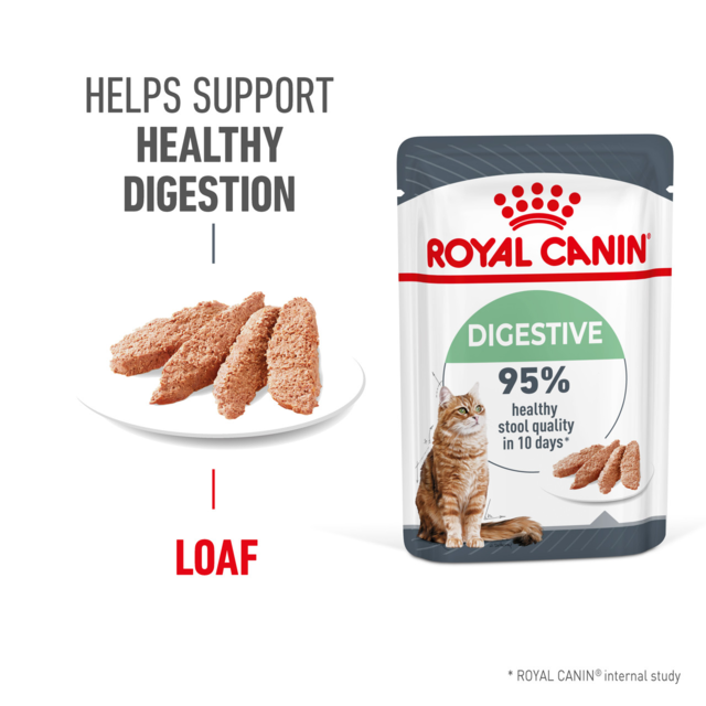 Royal Canin Digestive Care Loaf Adult Wet Cat Food - Product Image 1